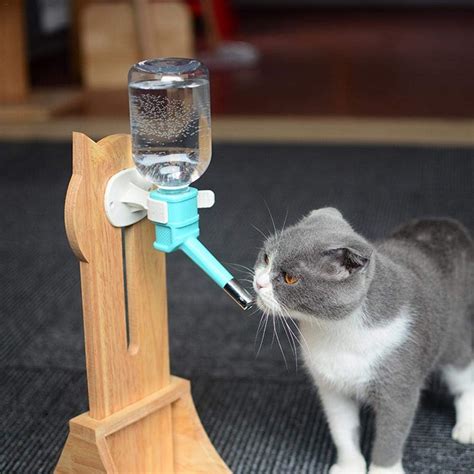 pet water bottle stand